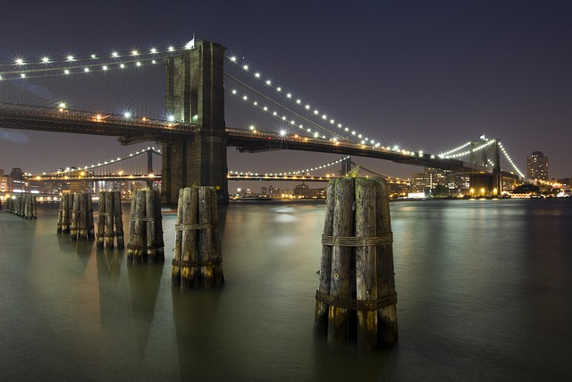 Why the USA Remains the Top Destination for International Students in 2025